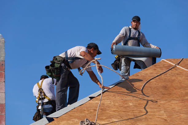 Best Roof Waterproofing Services  in Warsaw, IL