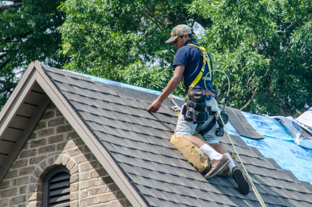 Best Metal Roofing Contractor  in Warsaw, IL